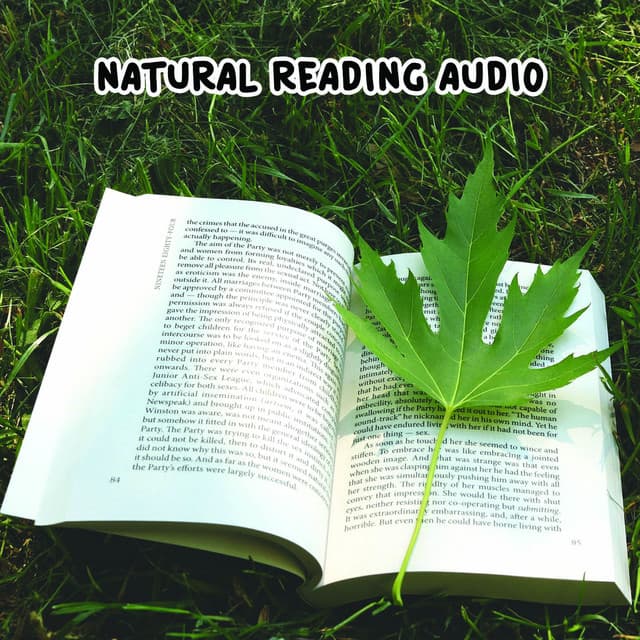 Natural Reading Audio - White Noise Research