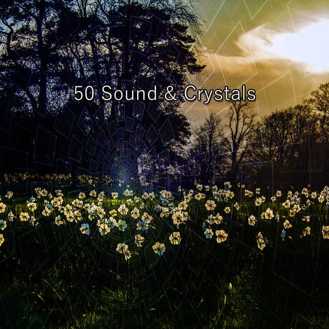 50 Sound & Crystals - Musica Para Estudiar Academy