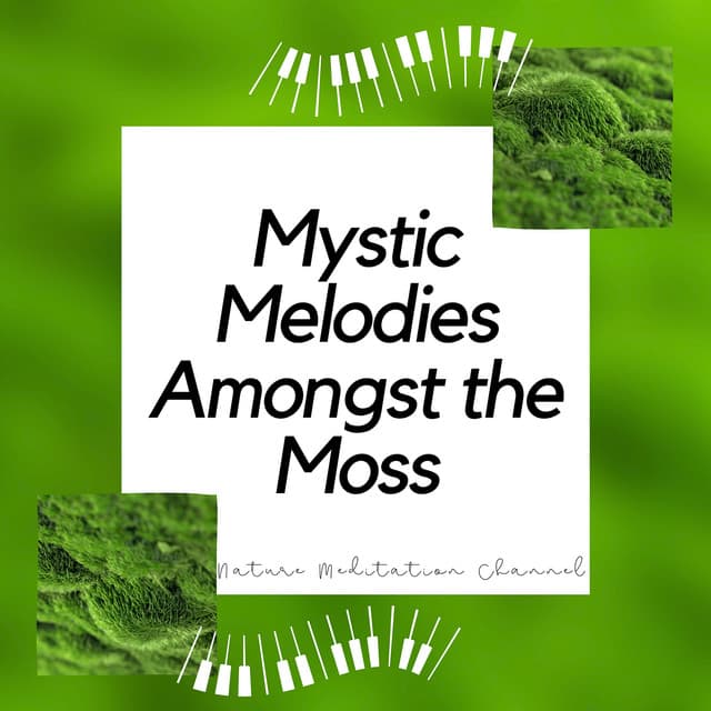 Mystic Melodies Amongst the Moss - Nature Meditation Channel