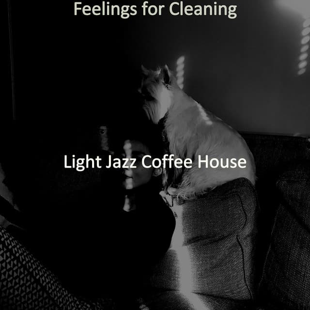 Feelings for Cleaning - Light Jazz Coffee House