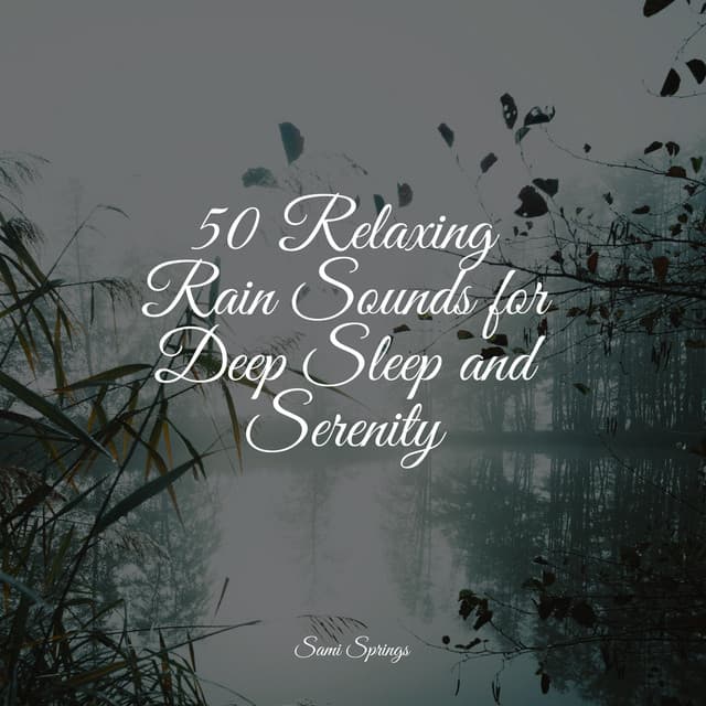 50 Relaxing Rain Sounds for Deep Sleep and Serenity - Sleep Rain