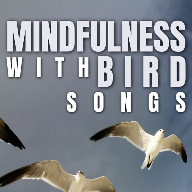 Mindfulness with Bird Songs - Bird Songs