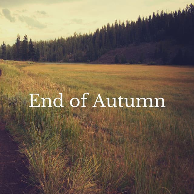 End of Autumn - Serenity of Sound