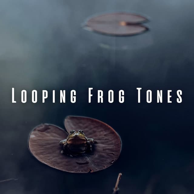 Looping Frog Tones - Nature's Noise