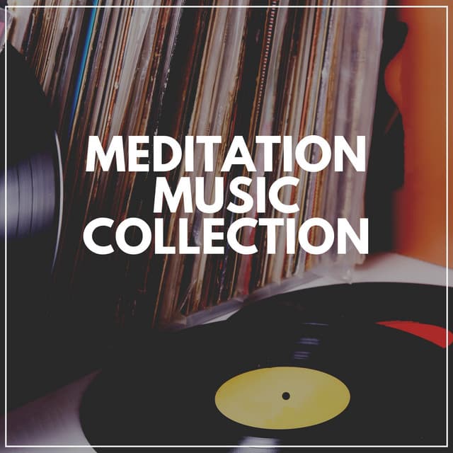 Meditation Music Collection - Meditation & Focus Workshop