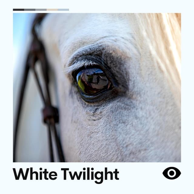 White Twilight - Ambient Nature White Noise