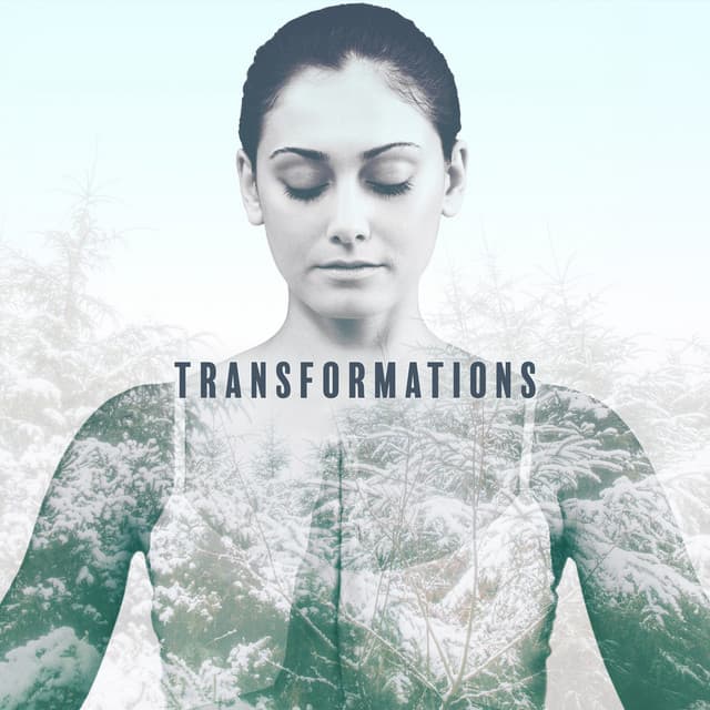 Transformations: For Your Mind, Body and Soul - Meditation Spa