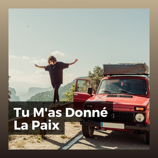 Tu M'as Donné La Paix - Zen Musique Détente