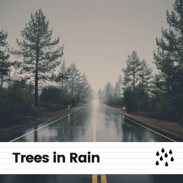 Trees in Rain - Rain Relaxation