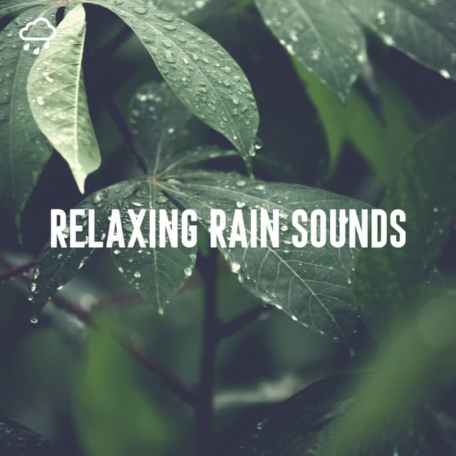 Relaxing Rain Recordings