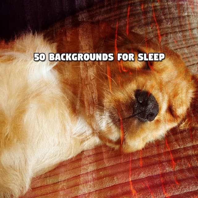 50 Backgrounds For Sleep - Lullabyes