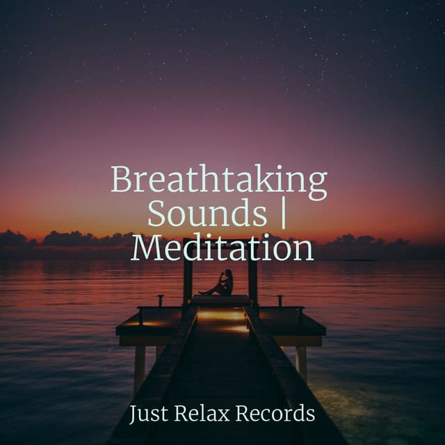 Breathtaking Sounds | Meditation - Kinderliederbande