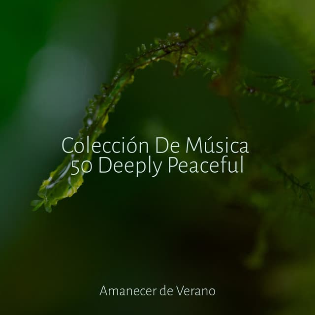 Colección De Música 50 Deeply Peaceful - MÚSICA PARA NIÑOS