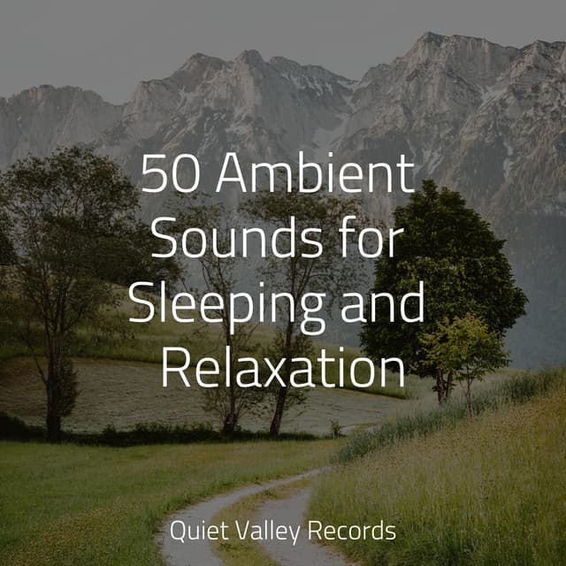 50 Ambient Sounds for Sleeping and Relaxation - Yoga Sounds