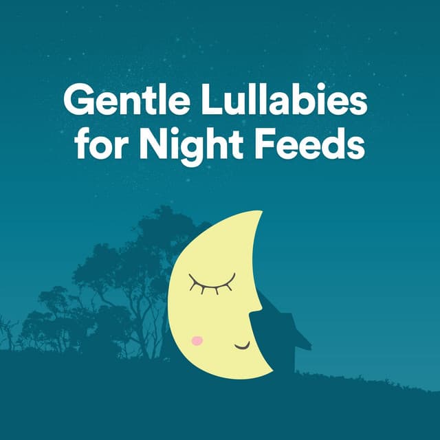 Gentle Lullabies for Night Feeds - Lullaby Orchestra