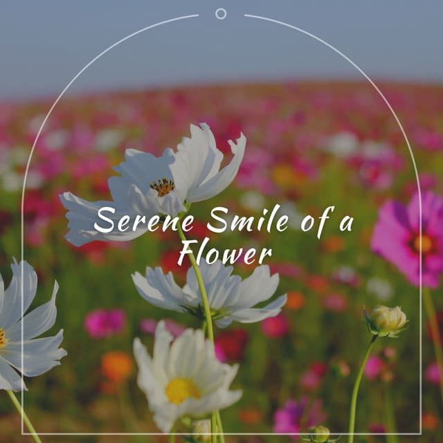 Serene Smile of a Flower - Healing Music Spirit