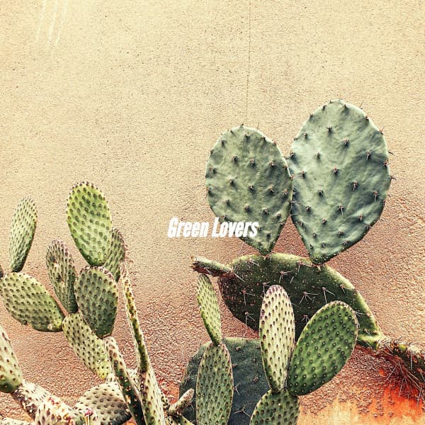 Green Lovers - Música para Cafeterías
