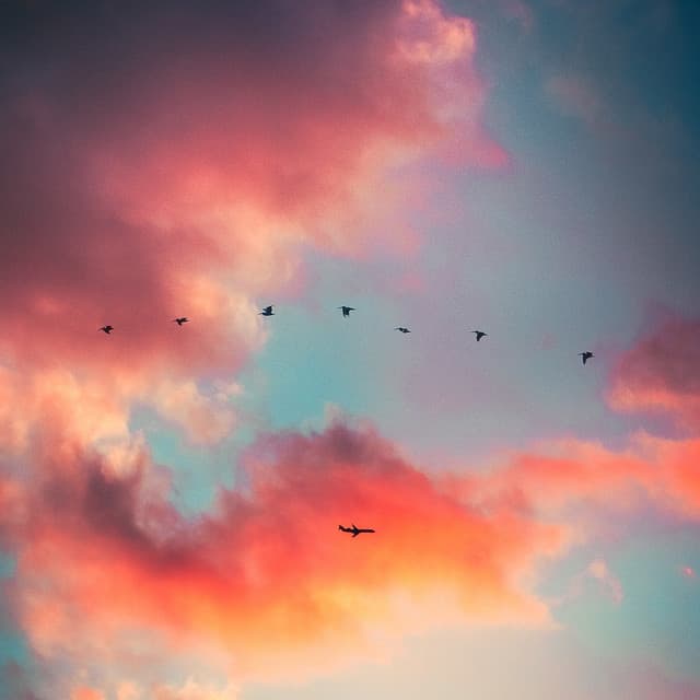 White Soothe Baby Noise - White Noise Collectors