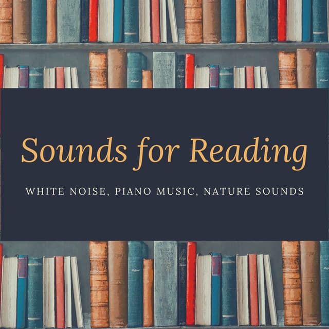 Sounds for Reading - White Noise, Piano Music, Nature Sounds - Reading Music
