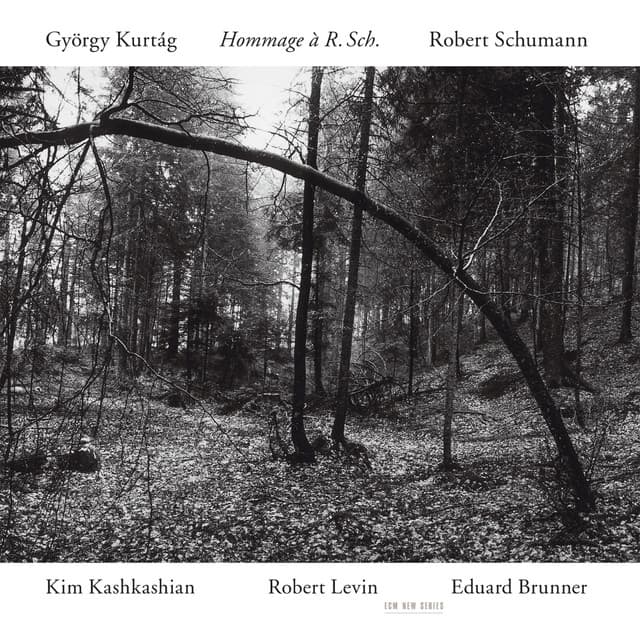 Kurtág, Schumann: Hommage à R. Sch. - Kim Kashkashian