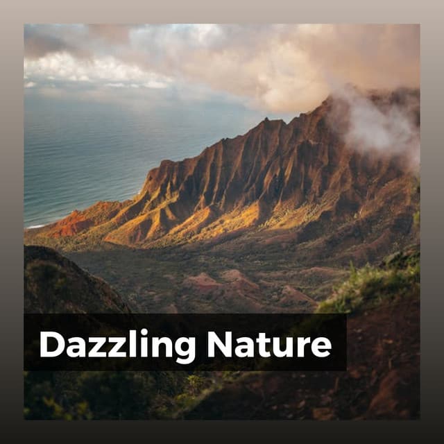 Dazzling Nature - Cricket Sounds