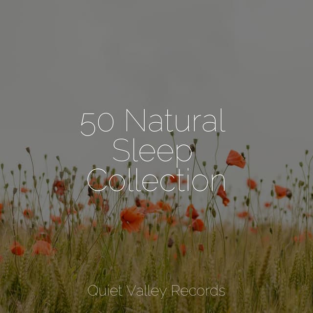 50 Natural Sleep Collection - FX & Effects