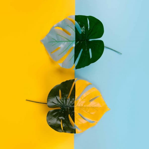 Feelings for Smooth Chilled Days - Naomi Mcbride Projects