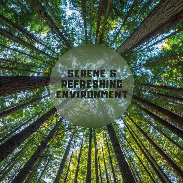 Serene & Refreshing Environment: Amazonian Sounds and Others - Exotic Nature Kingdom