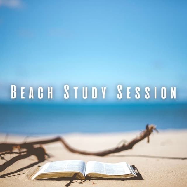 Beach Study Session: Rain Meditation for Focused Learning - The Power of Rain