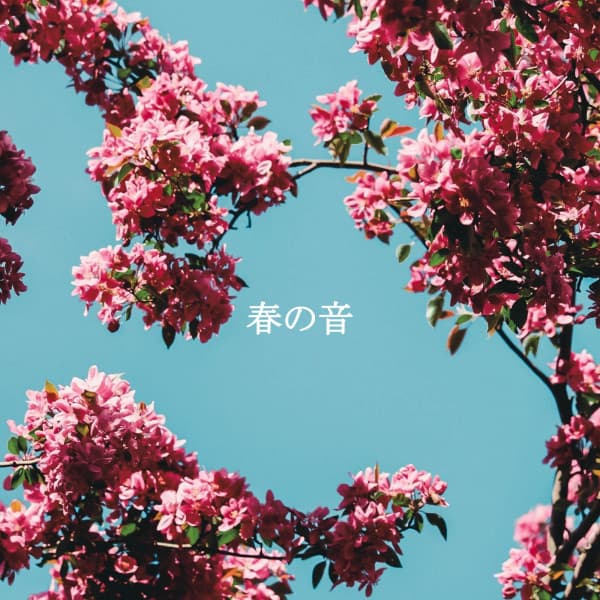 春の音 - Coffee Shop Music Supreme