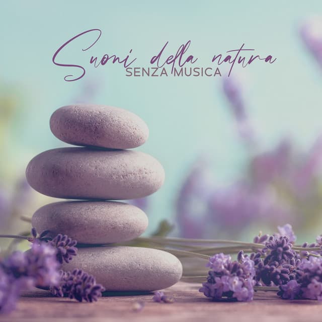 Suoni della natura senza musica: Atmosfera di natura incontaminata, Meditazione profonda e autoconoscenza, Pulizia emozionale - Meditazione zen musica