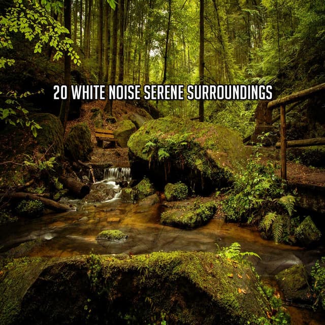 20 White Noise Serene Surroundings - White Noise For Baby Sleep