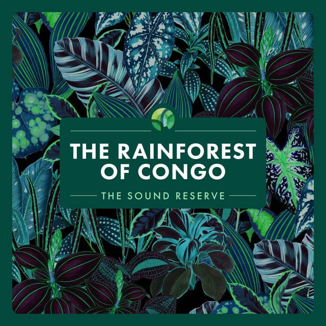 The Rainforest of Congo - The Sound Reserve