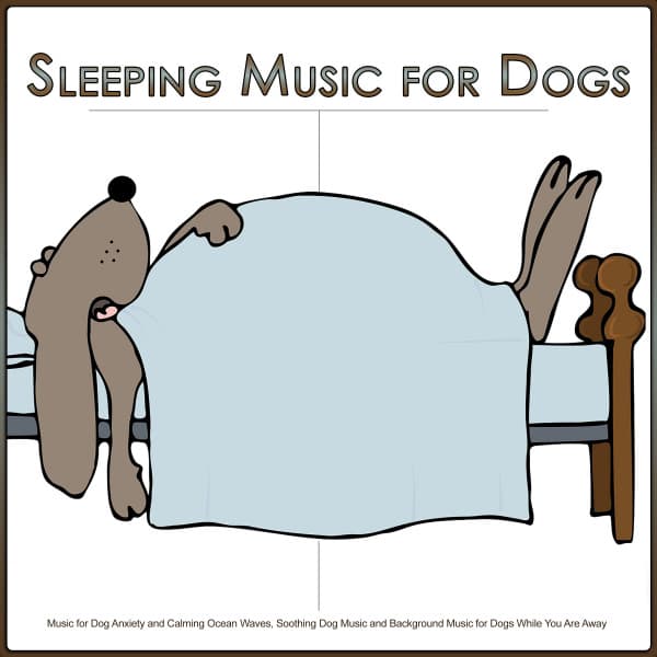 Dog Music Bliss