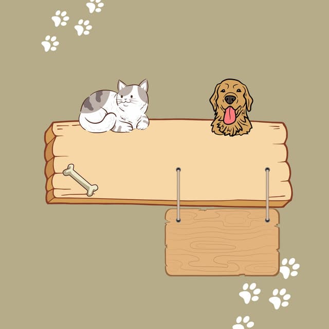 Music for Feline Tranquility: Purring Melodies - Noise of Colors Radio 1