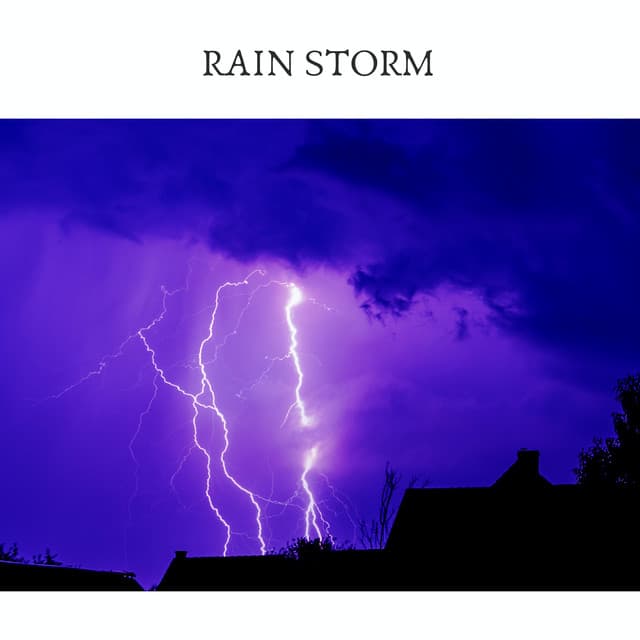 Rain Storm - Serene Rose