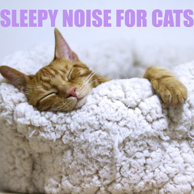 The Cat Relaxer