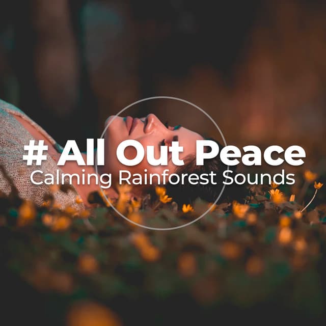# All Out Peace - Calming Rainforest Sounds