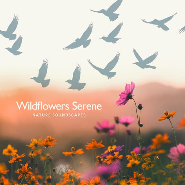 Wildflowers Serene - The Nature Soundscapes