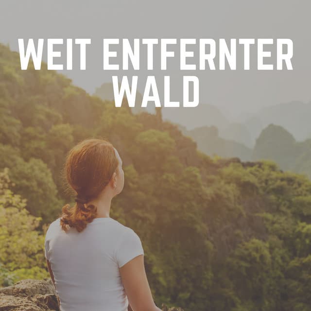 Weit Entfernter Wald - Naturgeräusche