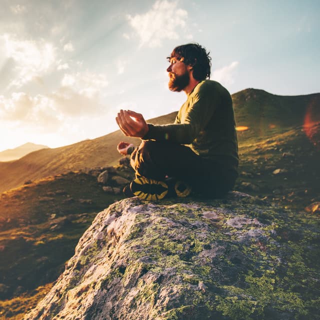 Maximum Zen - Maximum Concentration