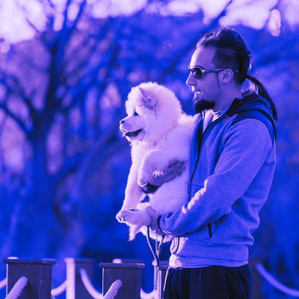 Ambiance for Friday Dog Events - Relax My Puppy