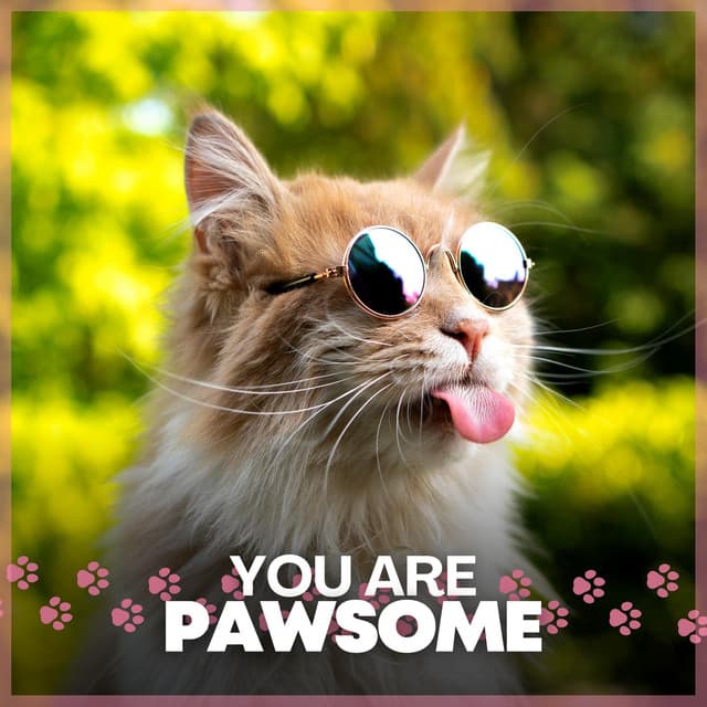 You Are Pawsome - Music for Cats Peace