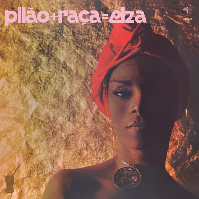 Pilão + Raça = Elza - Elza Soares