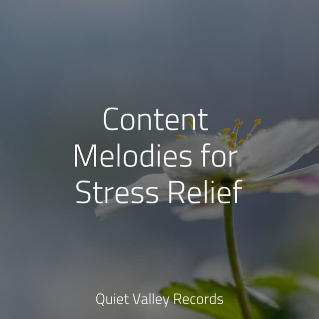 Content Melodies for Stress Relief - Lightning