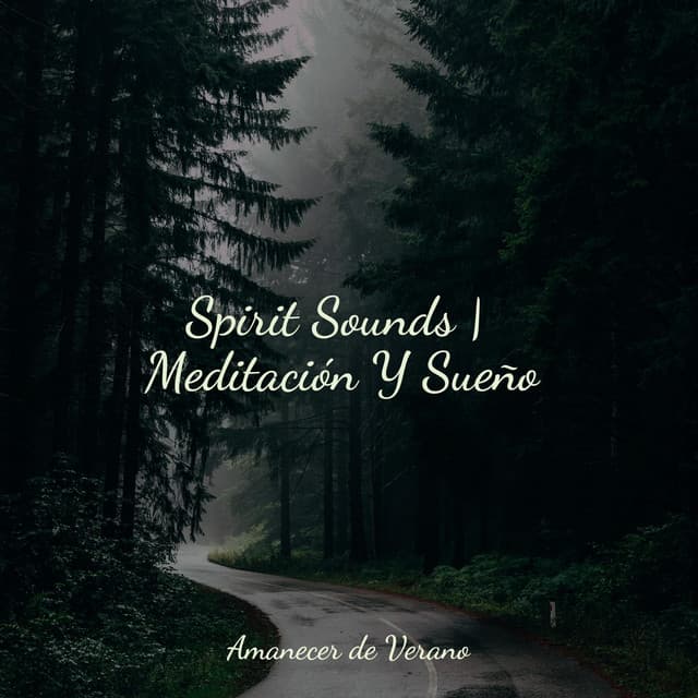 Spirit Sounds | Meditación Y Sueño - Musica para Bebes