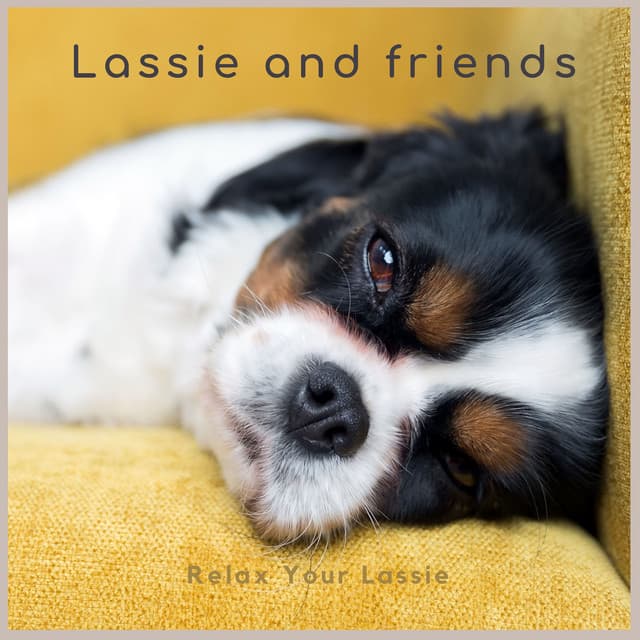 Relax Your Lassie - Lassie and friends