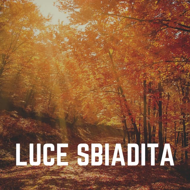Luce Sbiadita - Zona pura di suoni naturali