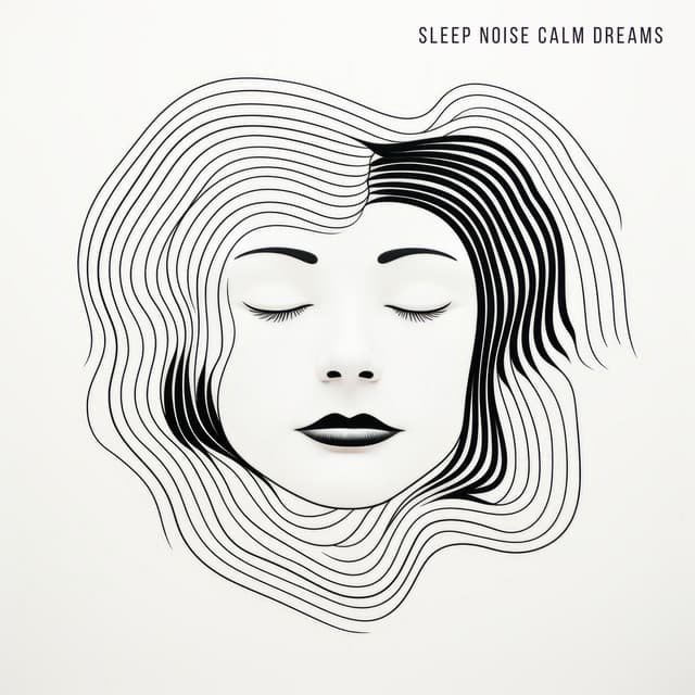 Sleep Noise Calm Dreams - White Noise Collectors