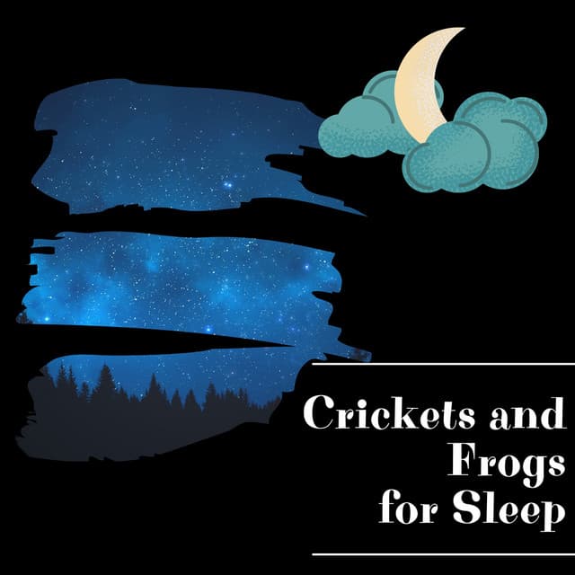 Night Nature Sounds